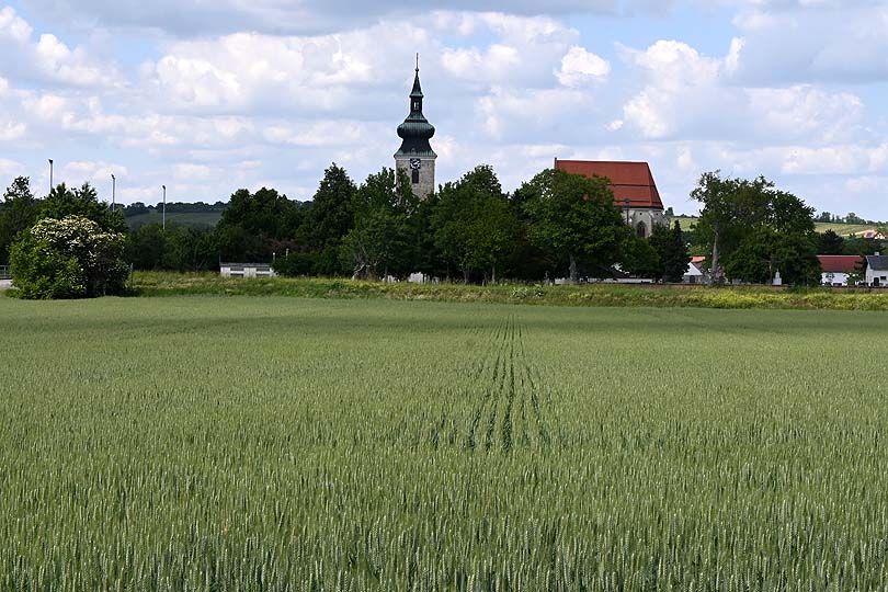 Pillichsdorf