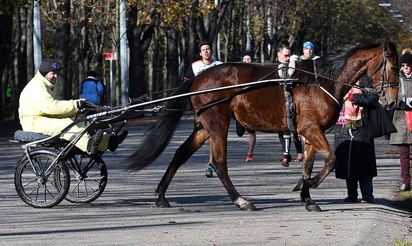 die Bildnummer ist 201611130299