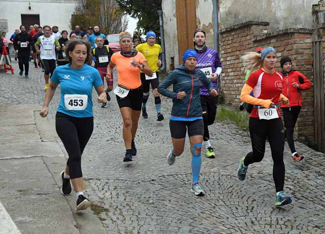 Poysdorfer Winzerlauf