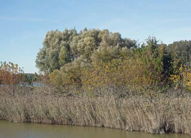 Kühwörther Wasser