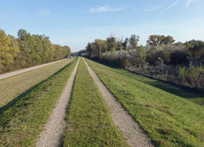 Lobau