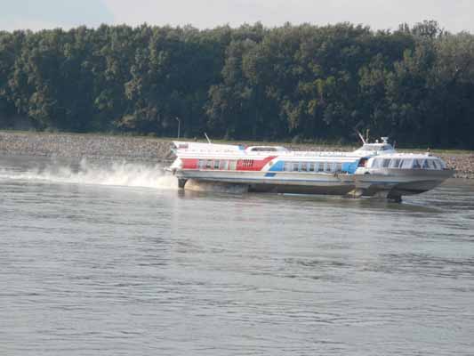 Foto vom 30.August 2013 - Tragflgelboot auf der Donau