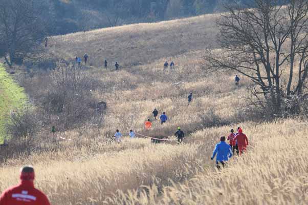 Foto vom 12.Jnner 2014 - Crosslauf Mistelbach