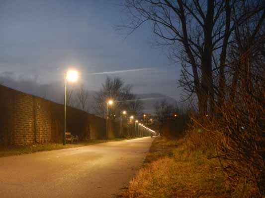 Foto vom 7.Februar 2014 - Weg an der Donau