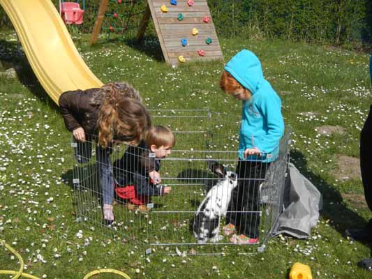 Foto vom 29.Mrz 2014 - Zoe, Fabian und Amy