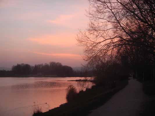 Foto vom 23.Mrz 2015 - Sonnenuntergang bei der Alten Donau