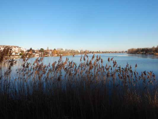 Foto vom 30. Dezember 2016 - Alte Donau