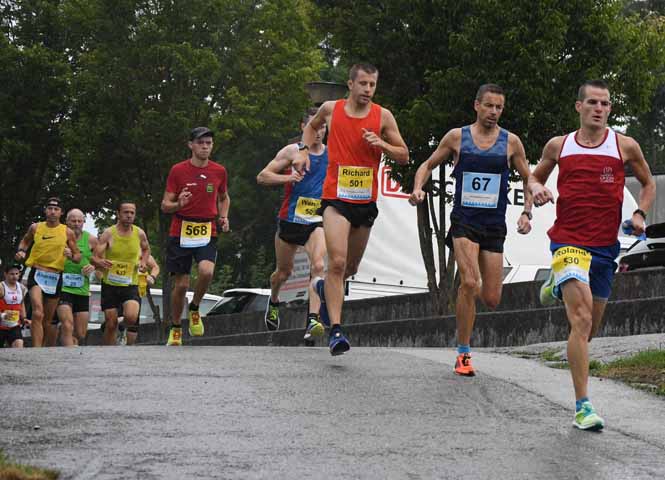 Wilhelmsburger Stadtlauf