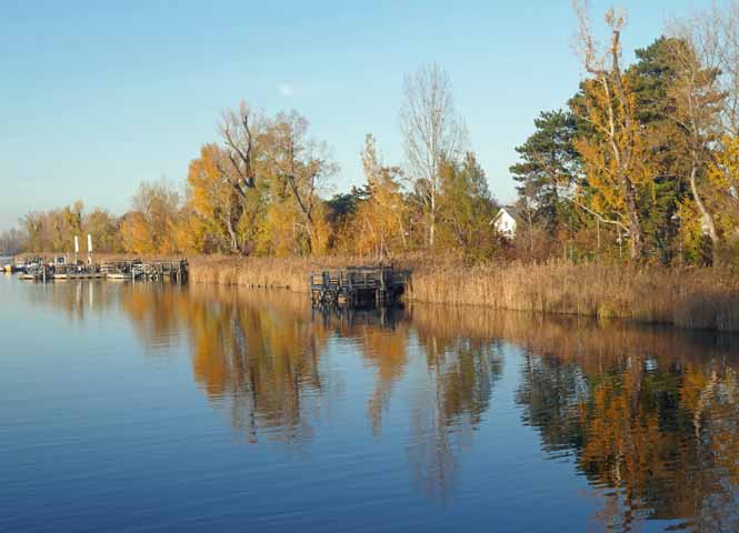 Alte Donau