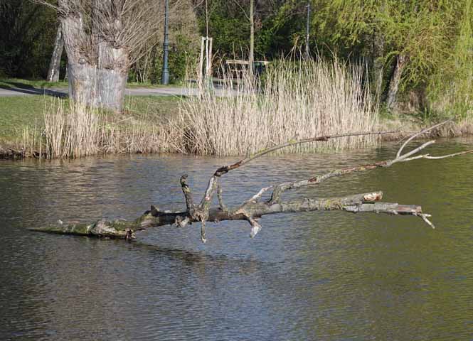 Wasserpark