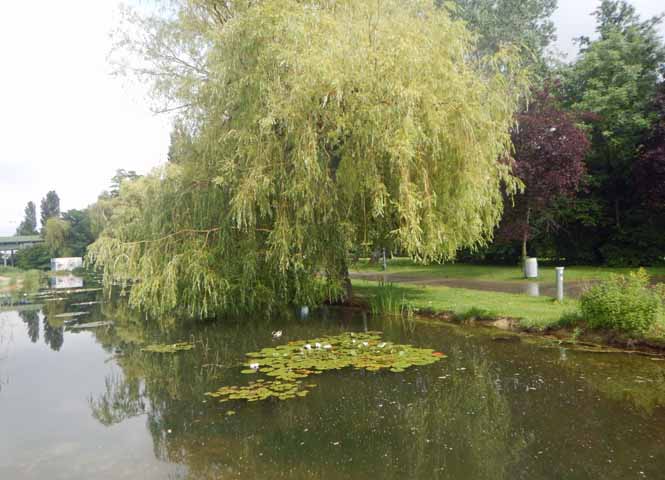 Wasserpark