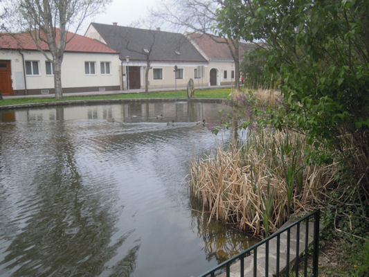 Foto vom 13. April 2011 - Teich am Leopoldauer Platz